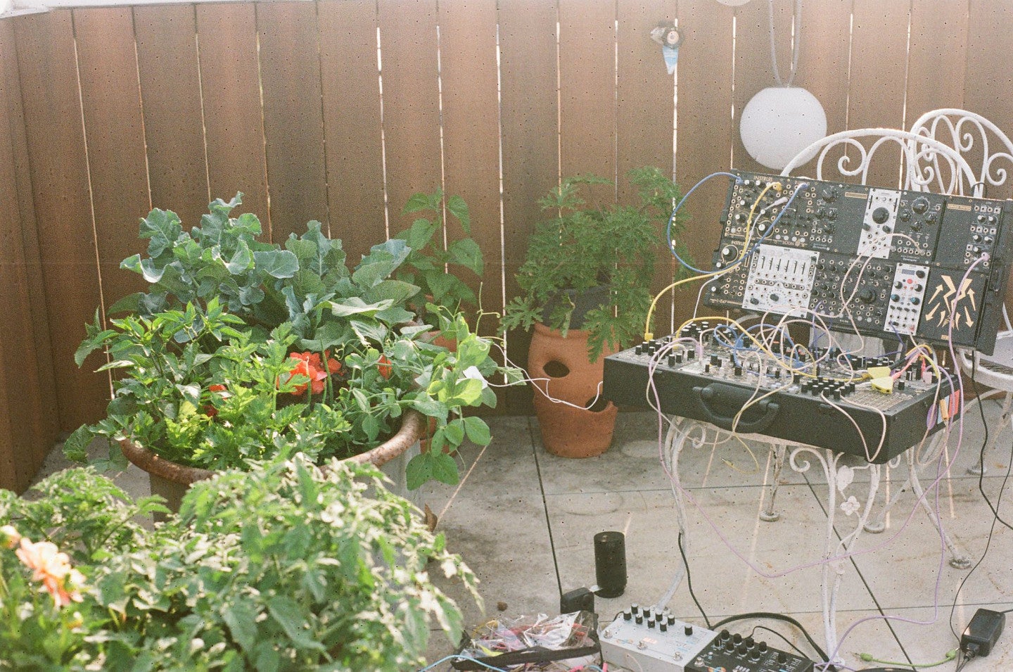 Photograph of a backyard garden with a wire sculpture/bench featured on the right hand side of the photo. On the left is a collection of greenery including terra cotta planters. 