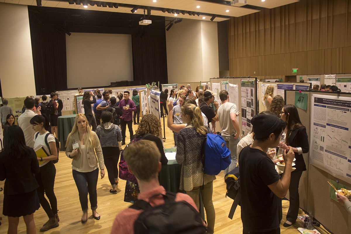 Students share their research projects during the 2017 Undergraduate Research Symposium 