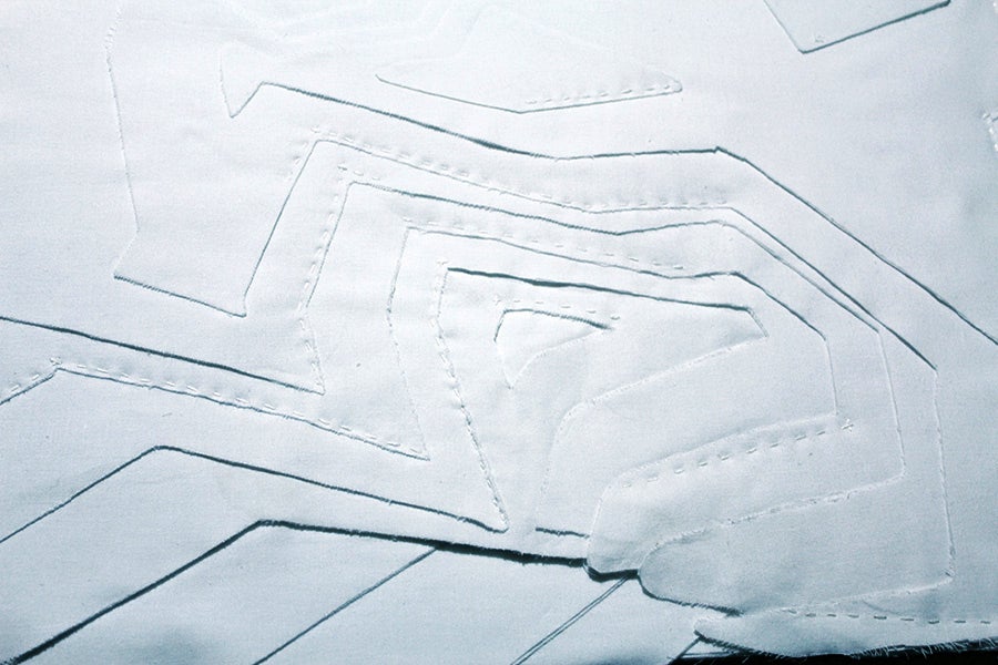 Cotton dissertation