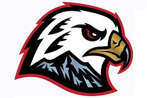 Image of the new Winterhawks logo, an eagle