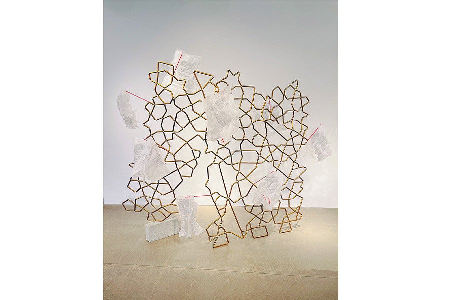 Photo of one of Tannaz Farsi's works.