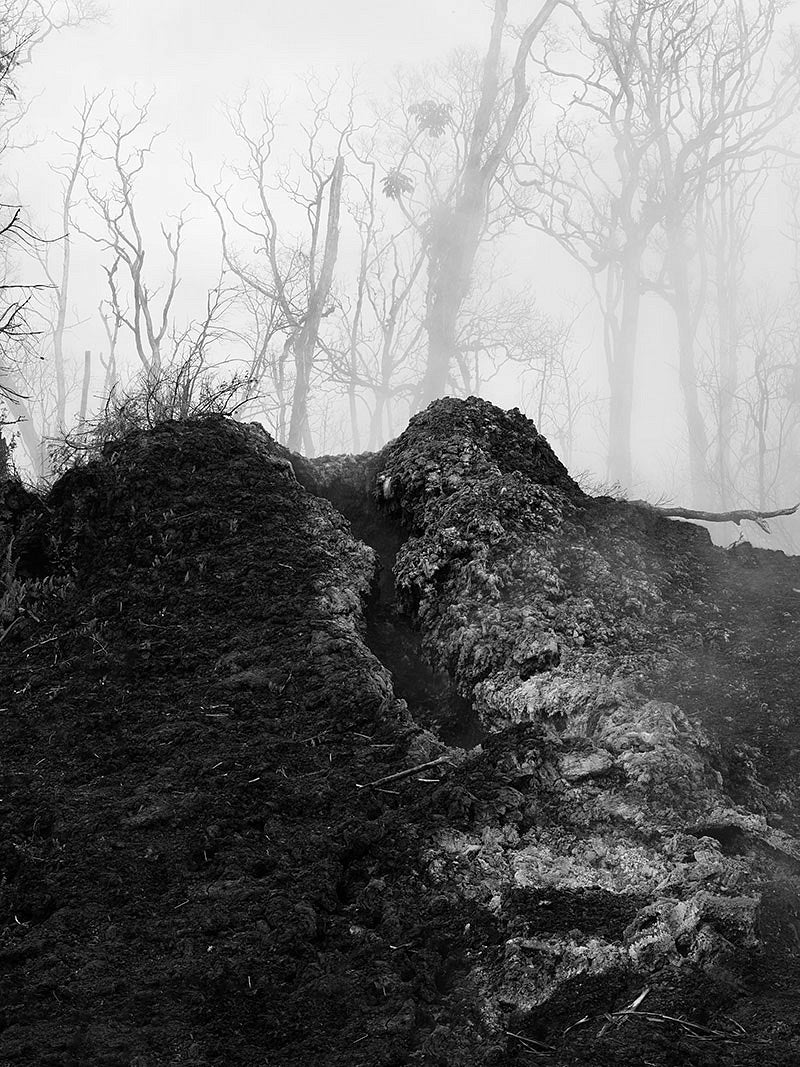 Black and white photo of foggy landscape
