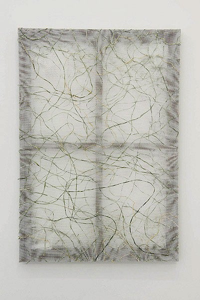 Net, 2015. Beargrass, mesh textile, composite wood. 35 x 24 x 1.5 inches