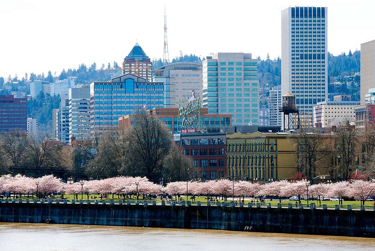 Portland, cherry trees in bloom, Willamette River