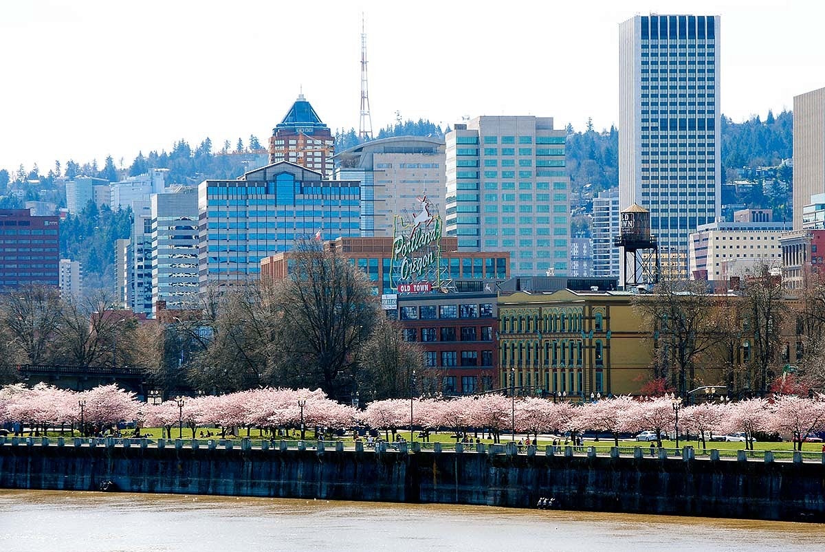 Portland, cherry trees in bloom, Willamette River