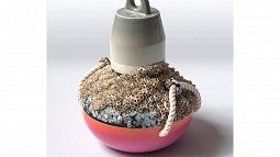 Faste ceramics, intertidal deployment object