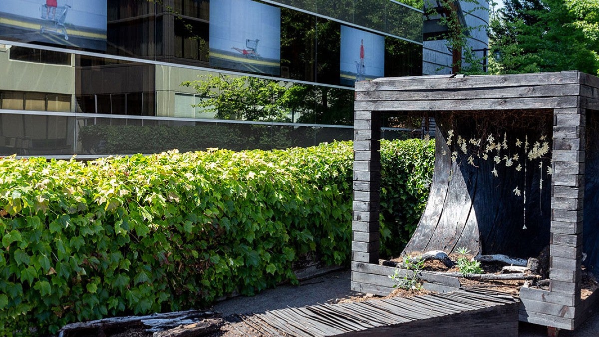 Wooden cube displaying art outside