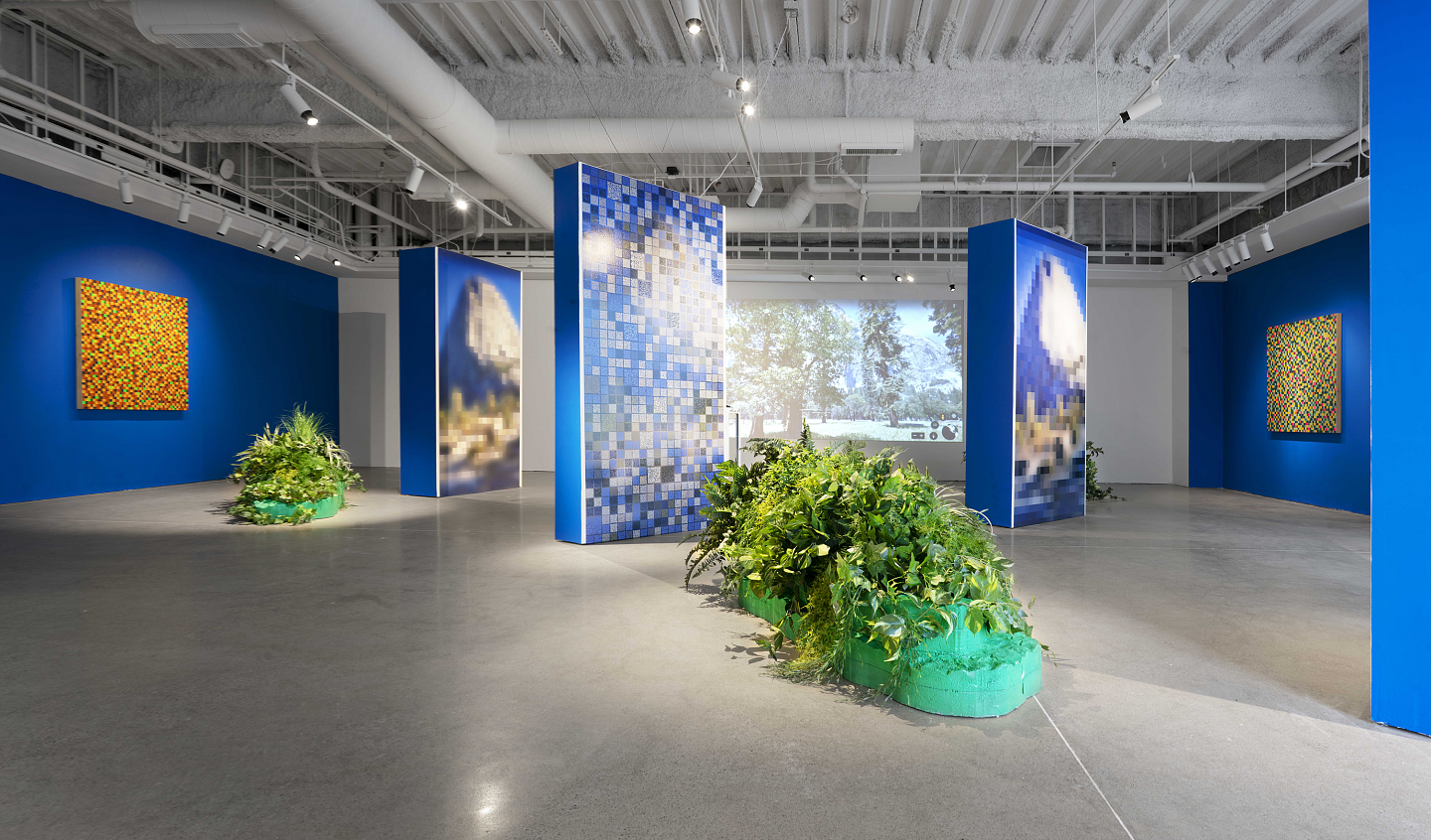 Photograph of an exhibit by Briar Marsh Pine that shows a myriad of different art mediums diplayed in a room with bright blue walls. 