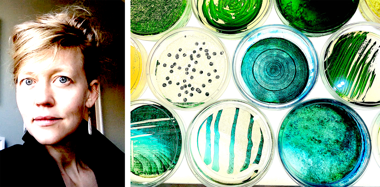 Headshot of Erin Espelie and a collection of green and blue cyanobacteria cultures on petri dishes..