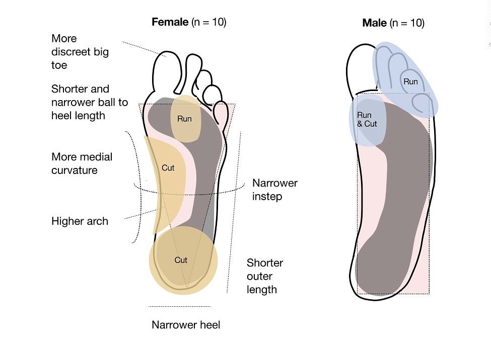 foot morphologies