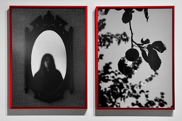 News header image for Rana Young. 