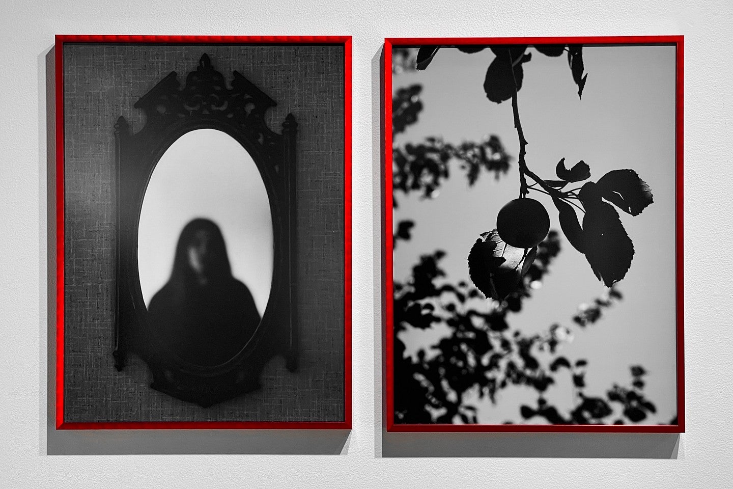 Photograph of a two portrait, black and white photographs. Both framed in a red material, the first photo is a shot of an unidentifiable person in a wooden mirror, focus is soft. Second photo is of a tree with leaves and maybe a fruit in the foreground, and more tree limbs and leaves in the background. 
