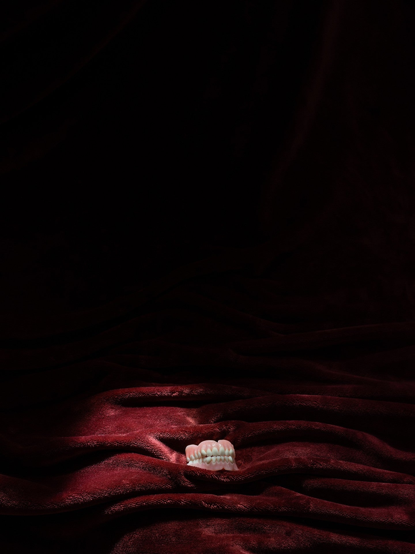 Photograph of teeth on red velvet cloth. Upper portion of the photograph is pitch black. 