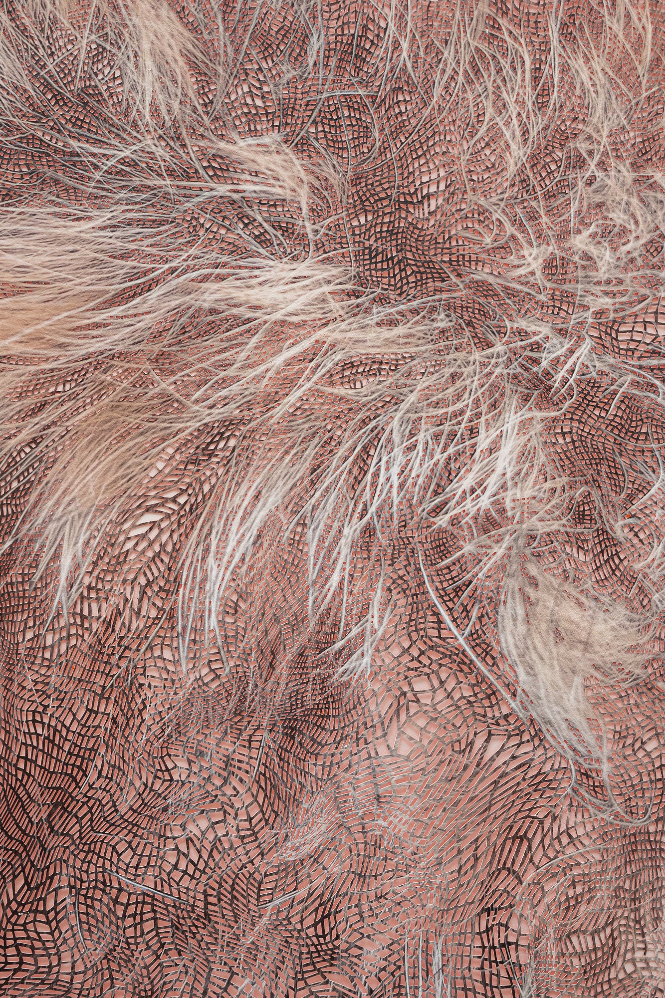 Close-up detail of "Forcefield".