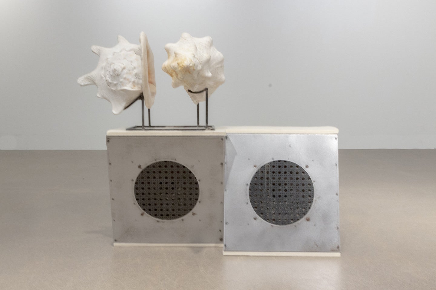 Photograph of Conch Loop/Isometric Broadcast.  Electronics, conch, sheet metal, felt.