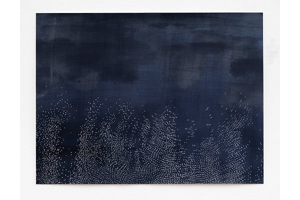 Laura Vandenburgh Research Grid Photo. Click to learn more about Laura's research. 