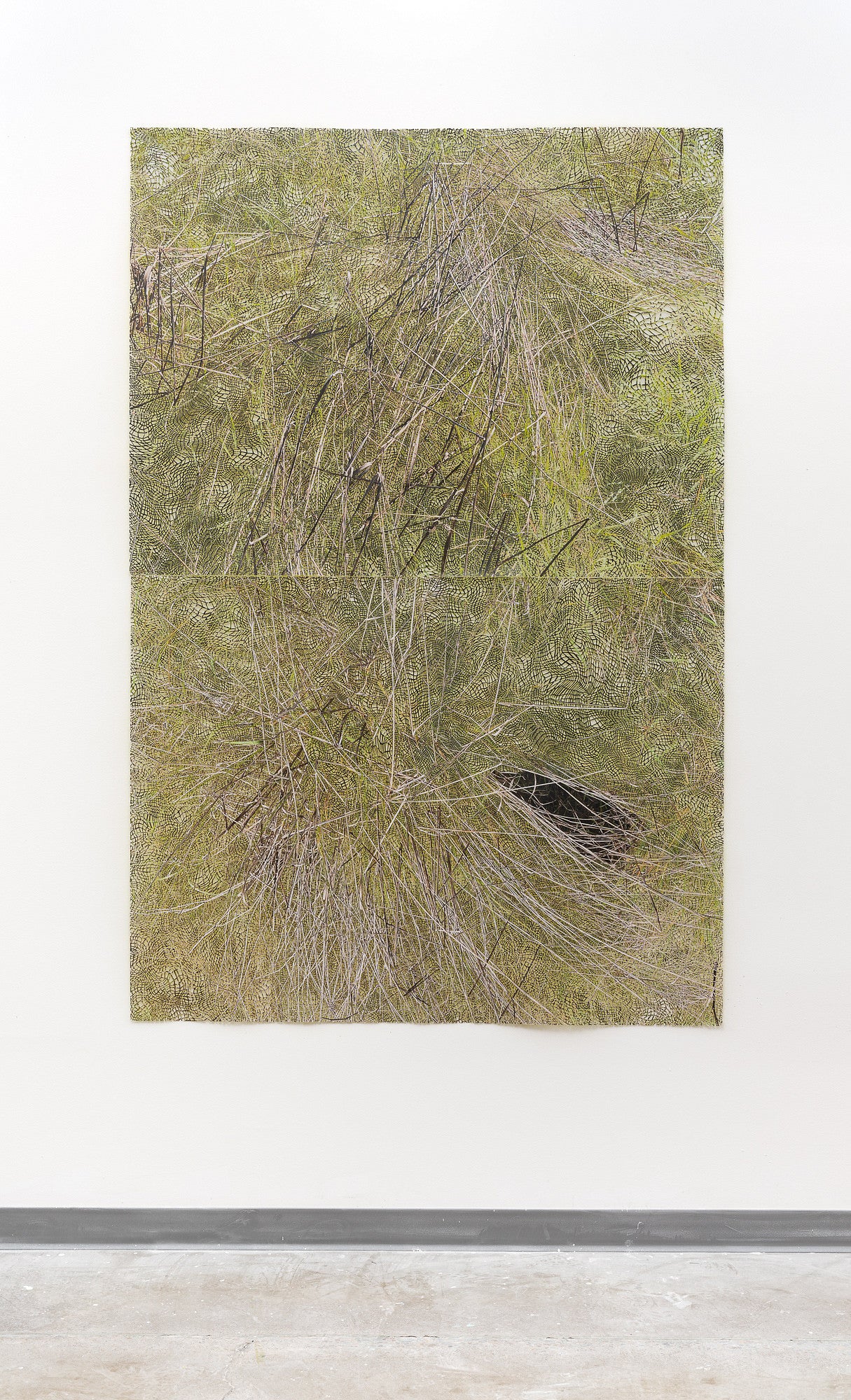 Photograph of the piece, multiplying. 