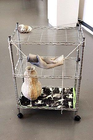 artwork on display