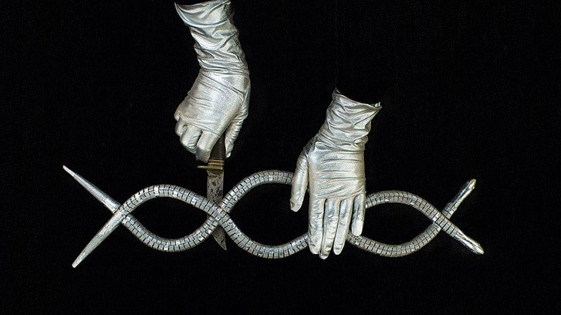 Video still, The Daughters of The Western Trace