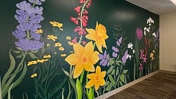Mural news header image. 