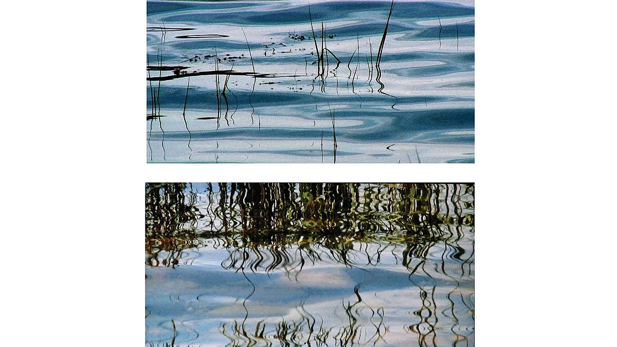 Photos by Ying Tan